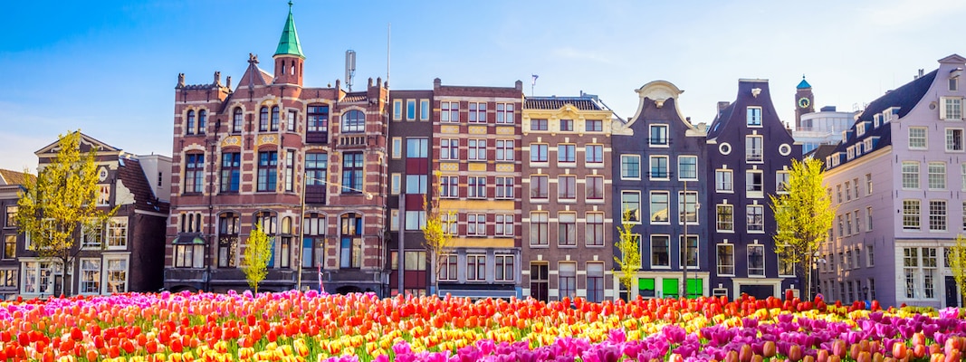 Amsterdam con tour