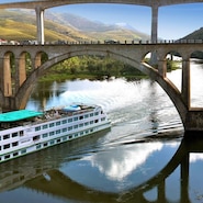 🚢 Descubre Europa sin Estrés: La Magia de los Cruceros Fluviales