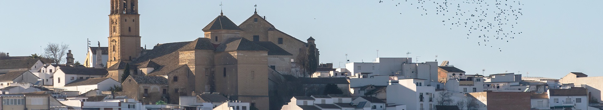 Rutas En Coche Montilla