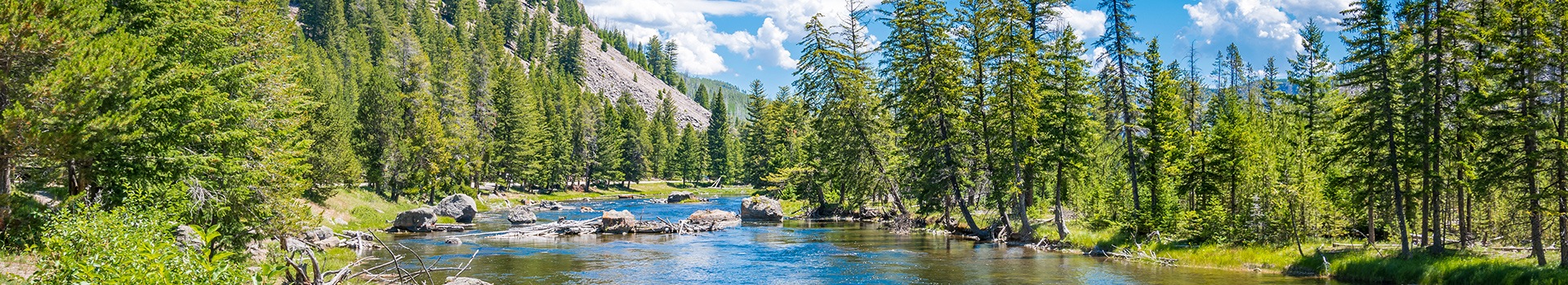 Rutas En Coche Yellowstone - Wy