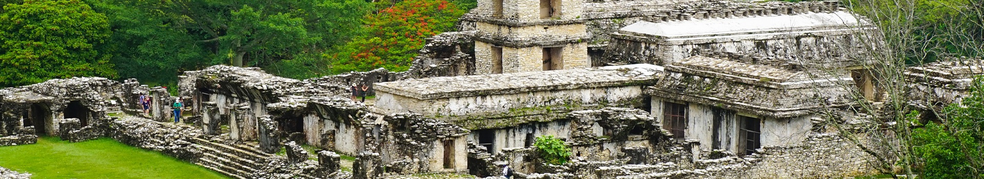 Circuitos Palenque Noviembre