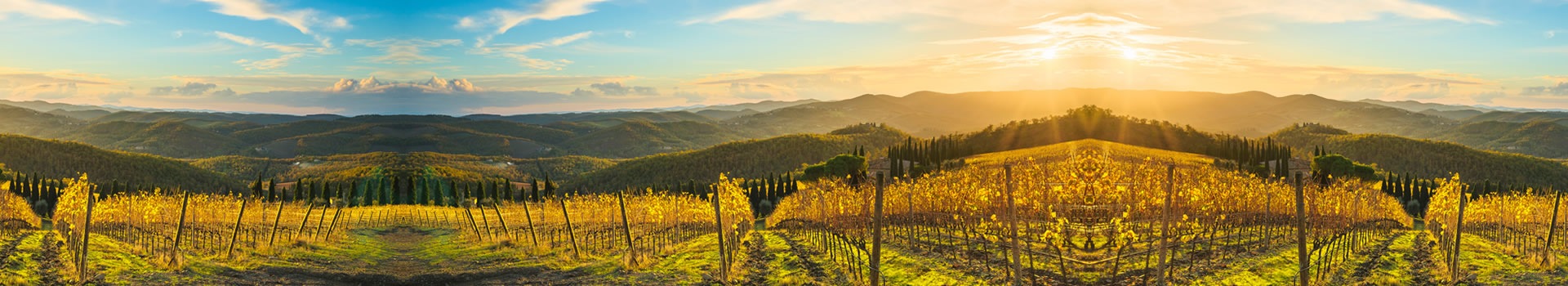 Rutas En Coche Radda In Chianti Agosto