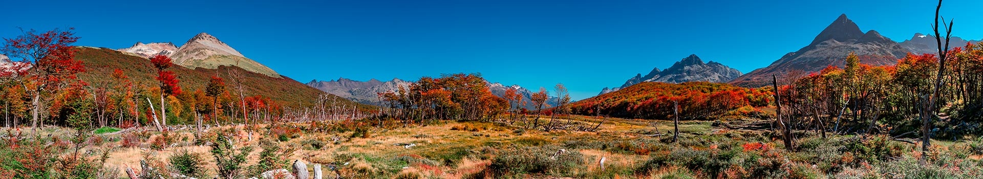 Circuitos Tierra Del Fuego Junio