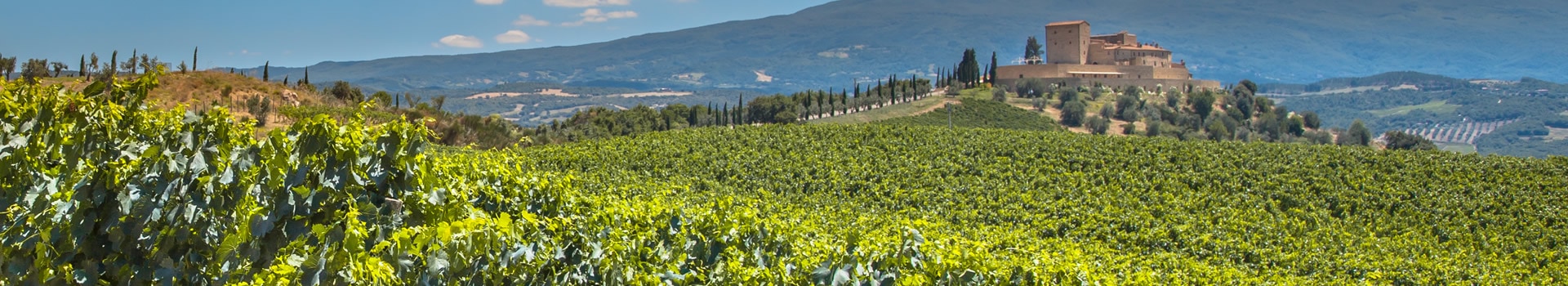 Circuitos La Rioja