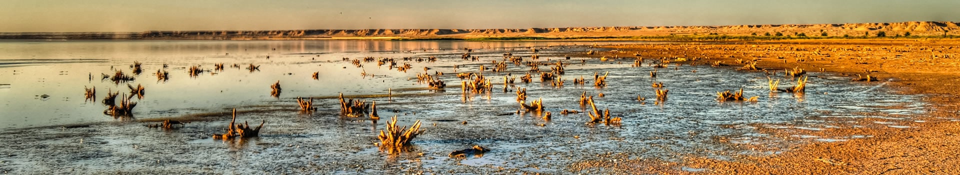 Iraq