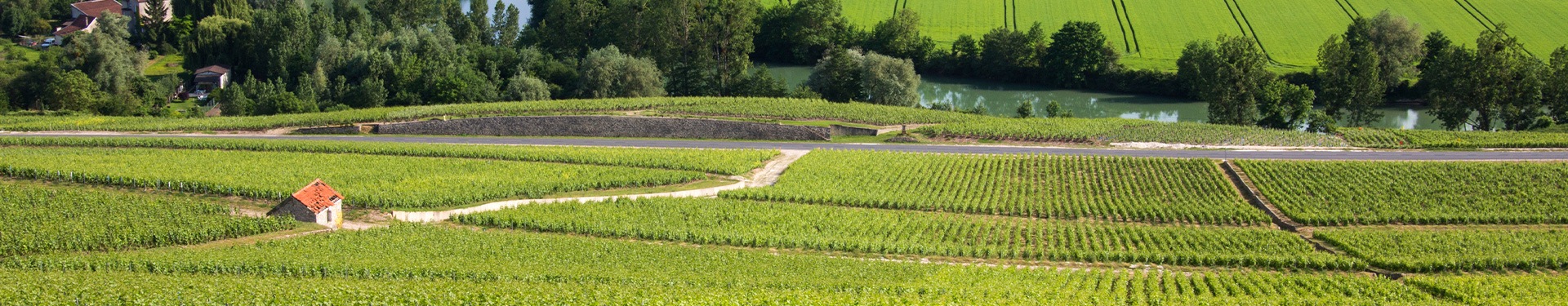 Ruta exprés del Champagne