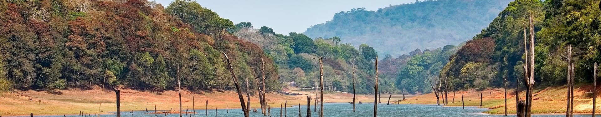 Sur de India con Lago Periyar