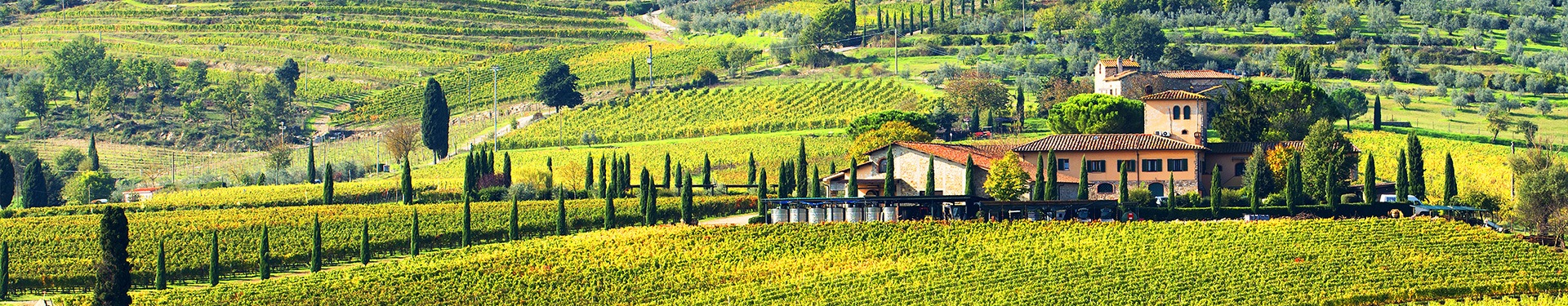 Ruta por La Toscana, desde Florencia a Siena