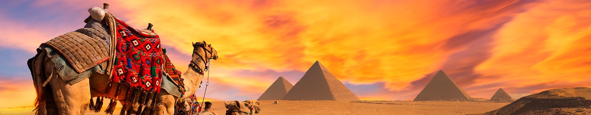 El Cairo y Crucero 7 noches