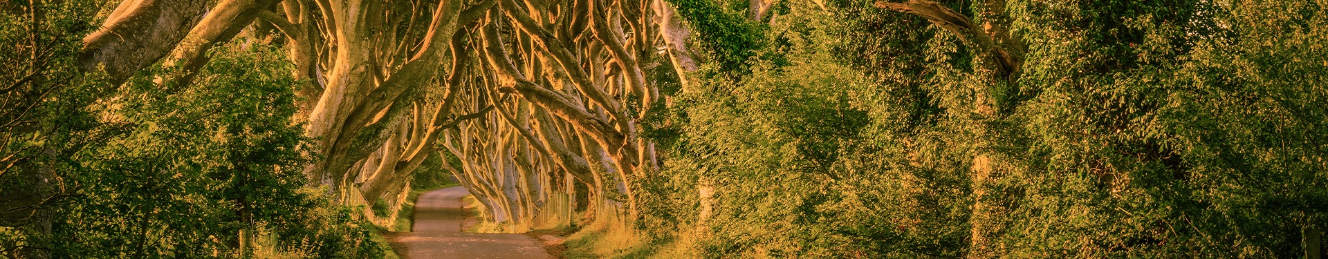 Ruta de Juego de Tronos por la Isla Esmeralda
