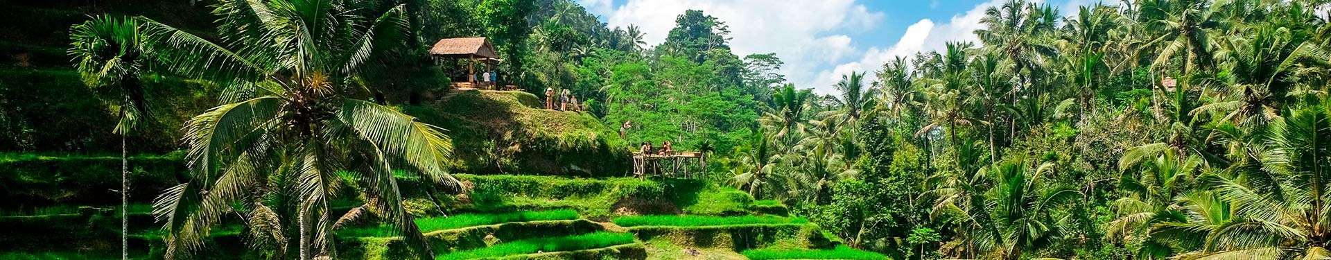 Dubái, Sídney, Bali y Singapur