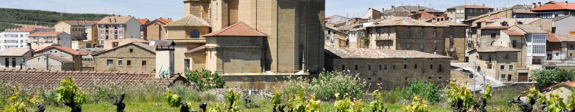 Ruta por el País Vasco y la Rioja Alavesa -Vino, Gastronomía y Paisajes