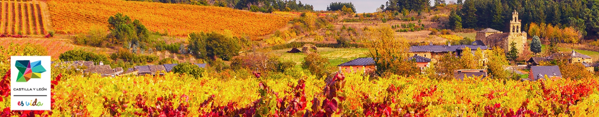 Ruta del Vino Bierzo