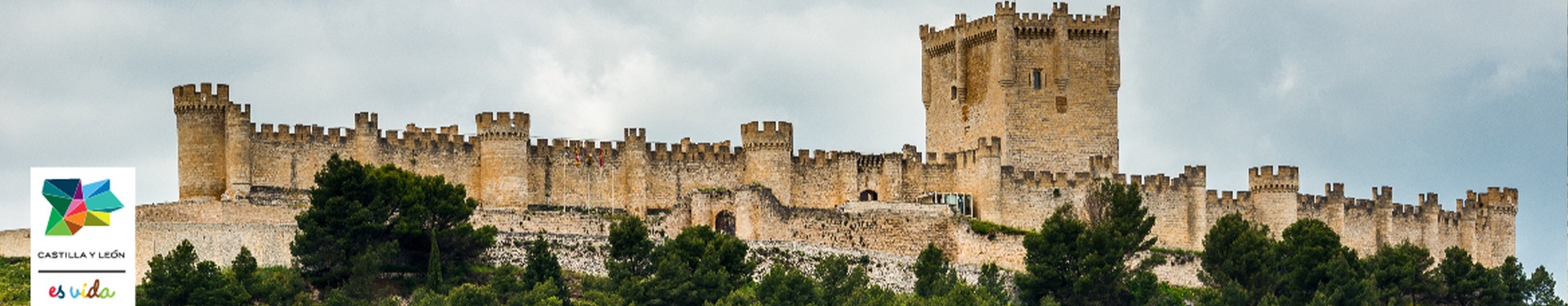 Ruta del Vino Ribera del Duero y Arlanza