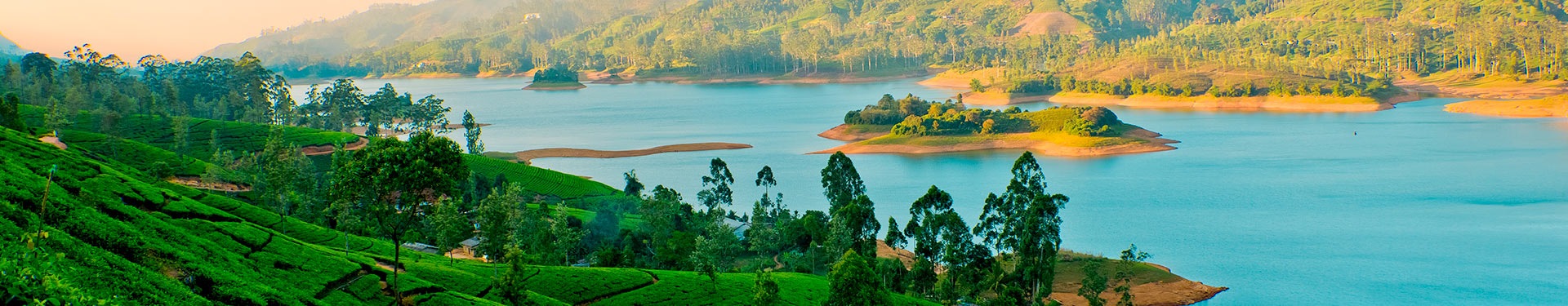 De Colombo a Sigiriya con Yala, Nuwara Eliya y Maldivas