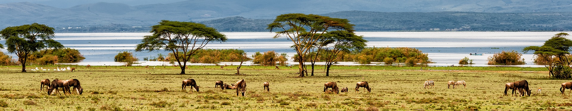 Masai Mara, Naivasha y Amboseli con Mauricio