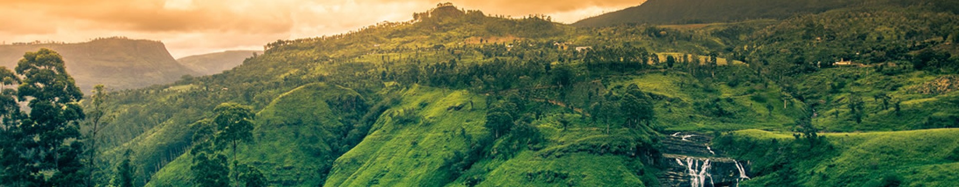 Dubái y Sri Lanka