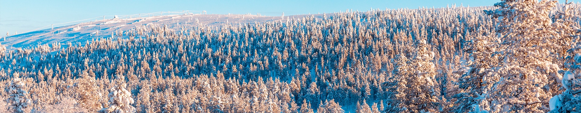 Especial Navidad en Ruka: Scandic Rukahovi