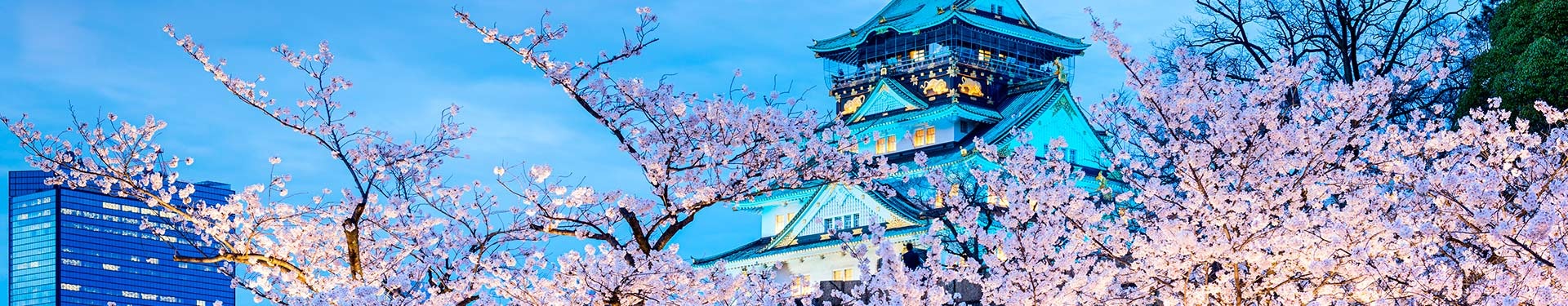 De Tokio a Kioto e Hiroshima