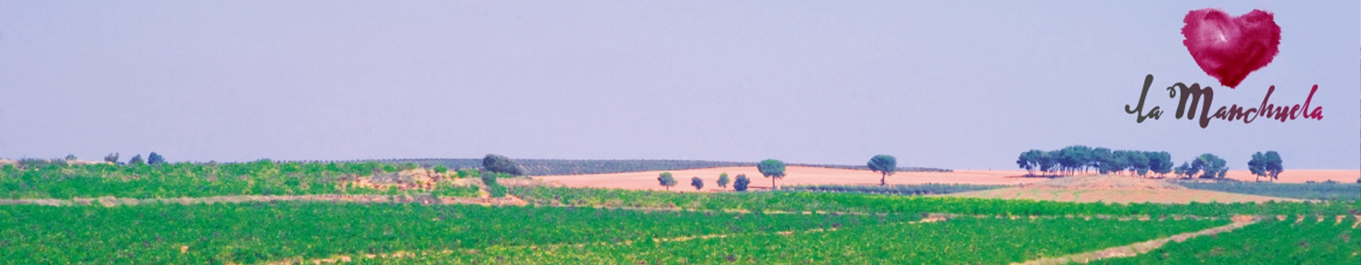 Ruta del Vino de La Manchuela con Madrid