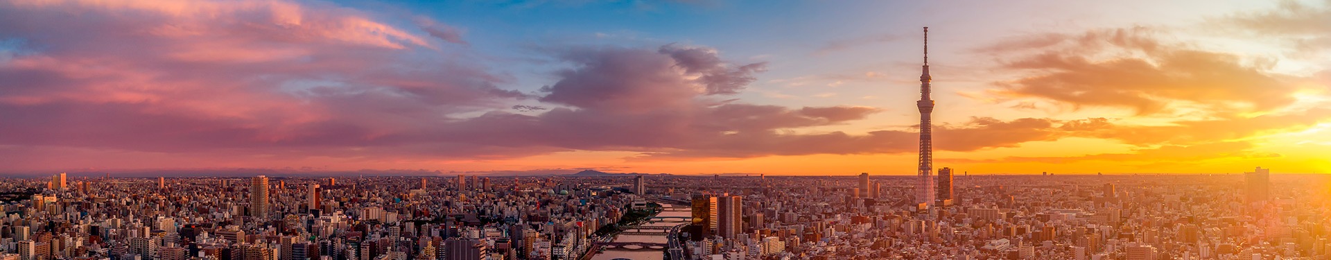 Tokio, Hiroshima, Osaka, Kioto y Hakone
