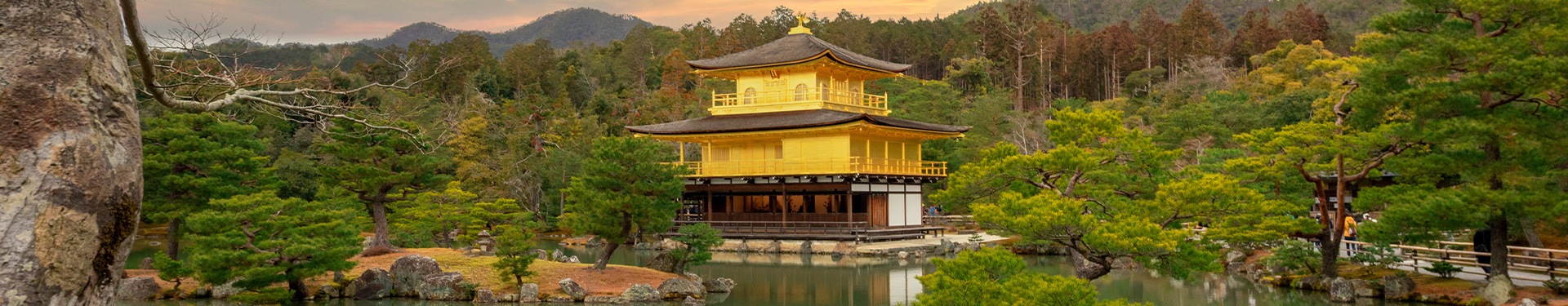 Centro de Japón y Maldivas