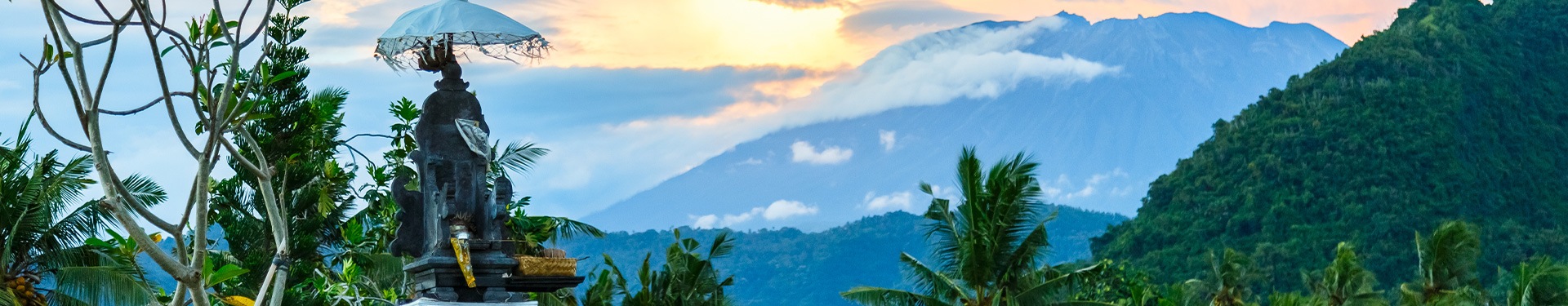 Lovina, Candidasa, Ubud y Playas del Sur de Bali