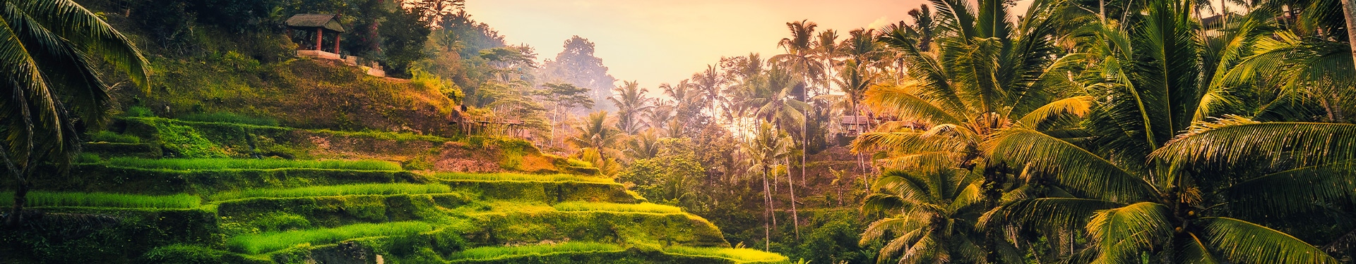 Singapur, Lovina, Candidasa, Ubud y Playas del Sur de Bali