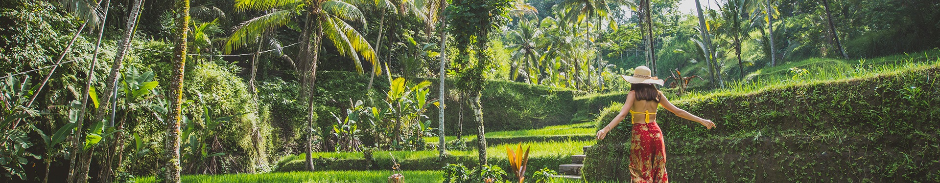 Singapur, Lovina, Candidasa, Ubud e Islas Gili