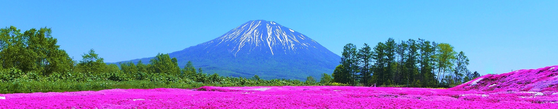 Ruta por Hokkaido y Tokio