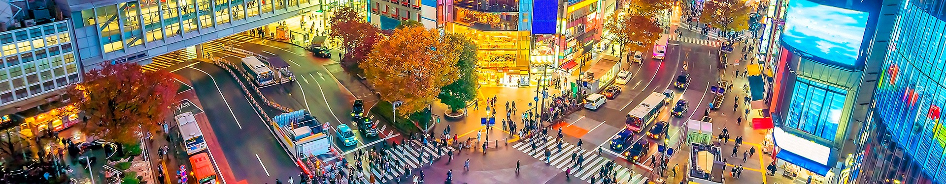 De Tokio a Osaka con karting e izakayas