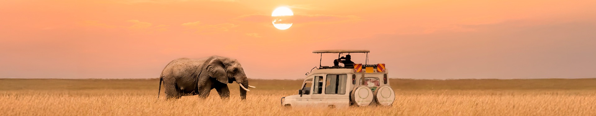 Arusha, Kilimanjaro, Tarangire, Serengeti, Ngorongoro y Lago Eyasi