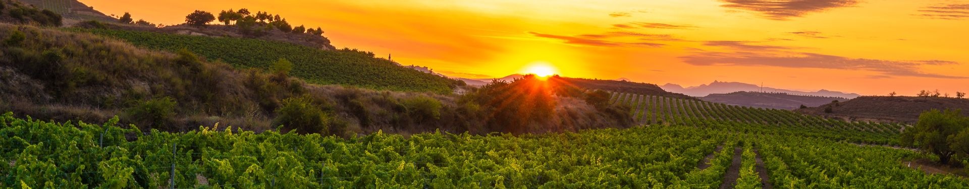 Salidas especiales La Rioja: viñedos y pueblos con encanto