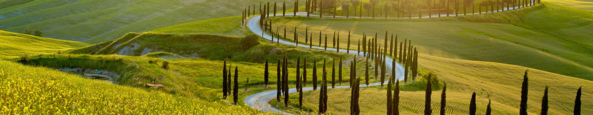 Italia: Especial +60 Senior Toscana, cultura y tradiciones