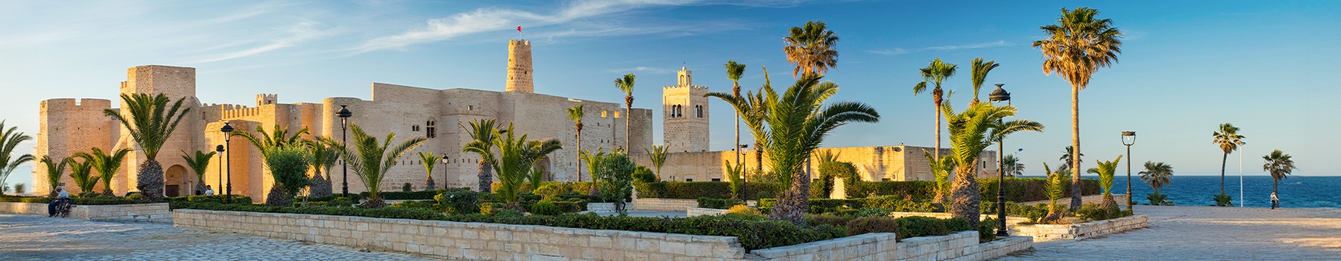 Túnez, Tozeur, Douz y Susa o Hammamet