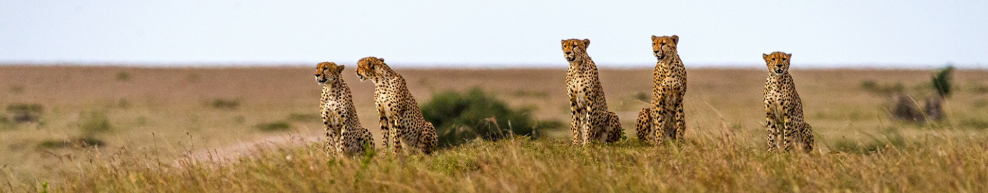 Nairobi, Samburu, Aberdare, Lago Nakuru y Masai Mara