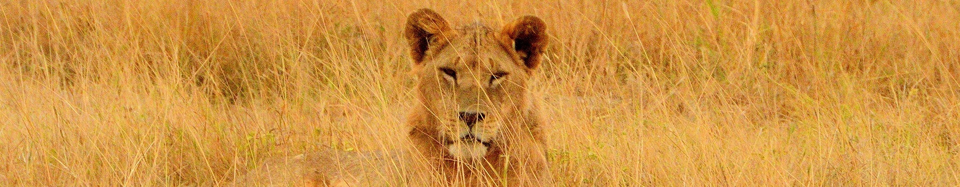 Kenia Inolvidable y Zanzíbar relax