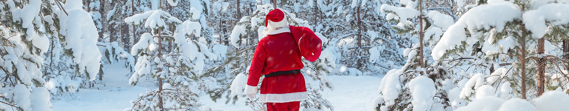 Ruka en diciembre: Scandic Rukahovi