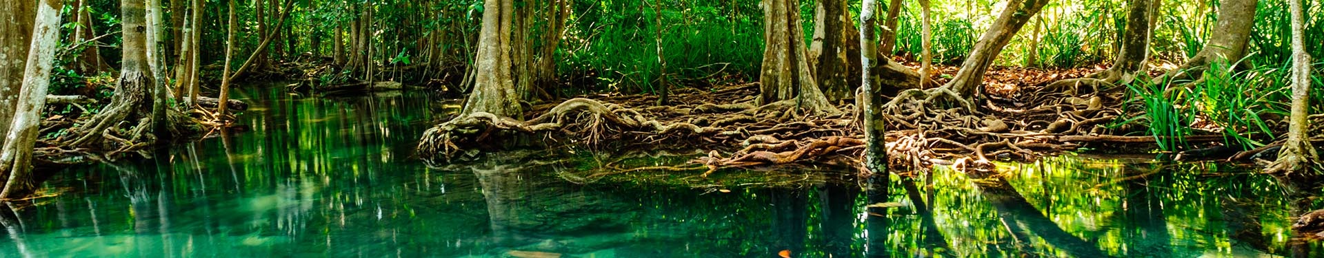 Bangkok, Chiang Rai, Chiang Mai y Krabi