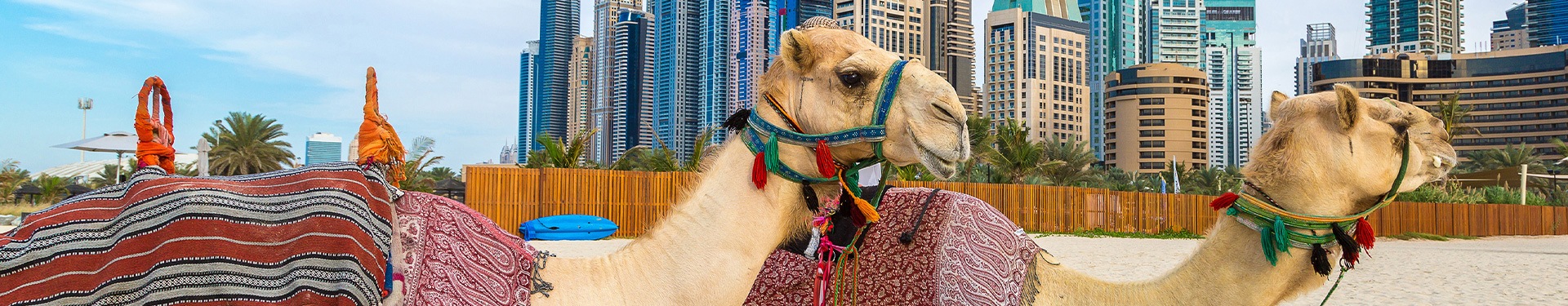 Ruta por los Cuatro Emiratos Árabes