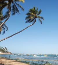 Salvador de Bahia: Naturaleza, Cultura y Surf en un solo Destino