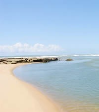 a nova capital da folia