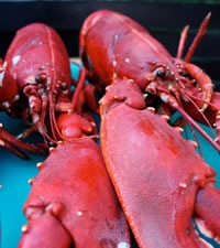 A culinária à base de frutos do mar completa o clima de paraíso