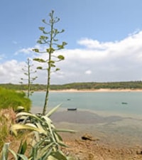 Playa das Furnas