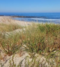 Playa Arda