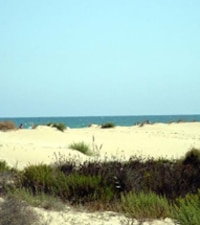 Playa del Carabasi