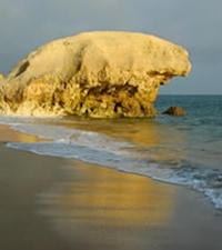 Playa de Coelha