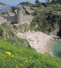 Playa El Codolar