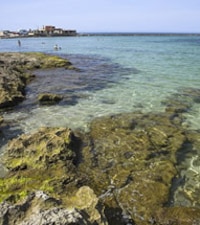 Playa Ciutat Jardí