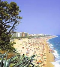 Playa de Levante